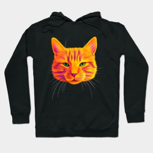 Orange Tabby Cat Hoodie